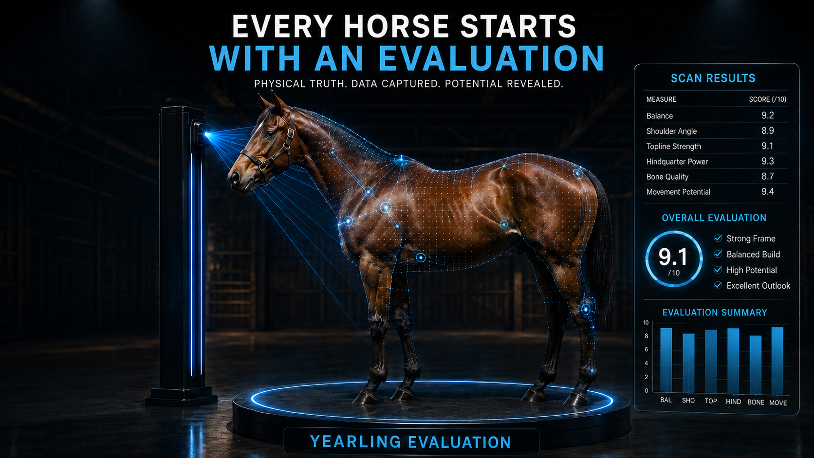 Experienced horseman physically evaluating a Thoroughbred yearling